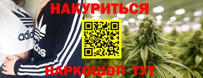 прущие грибы Шелехов