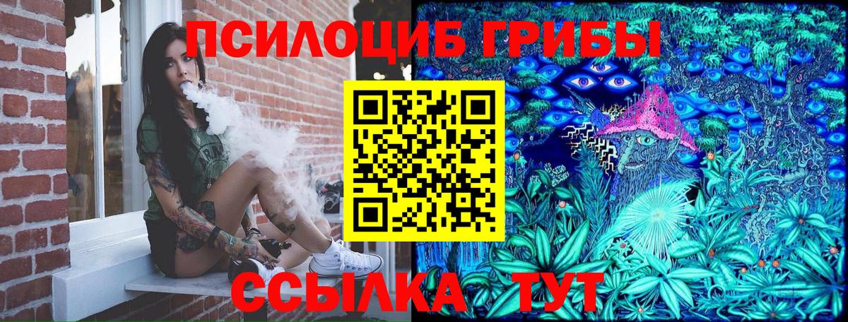 Псилоцибиновые грибы GOLDEN TEACHER Грязи