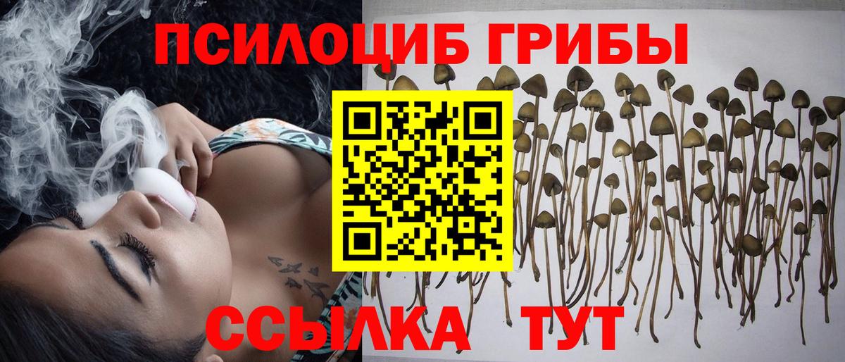 где продают   Галлюциногенные грибы MAGIC MUSHROOMS  Вход с VPN  Псилоцибиновые грибы ЛСД  Грязи 